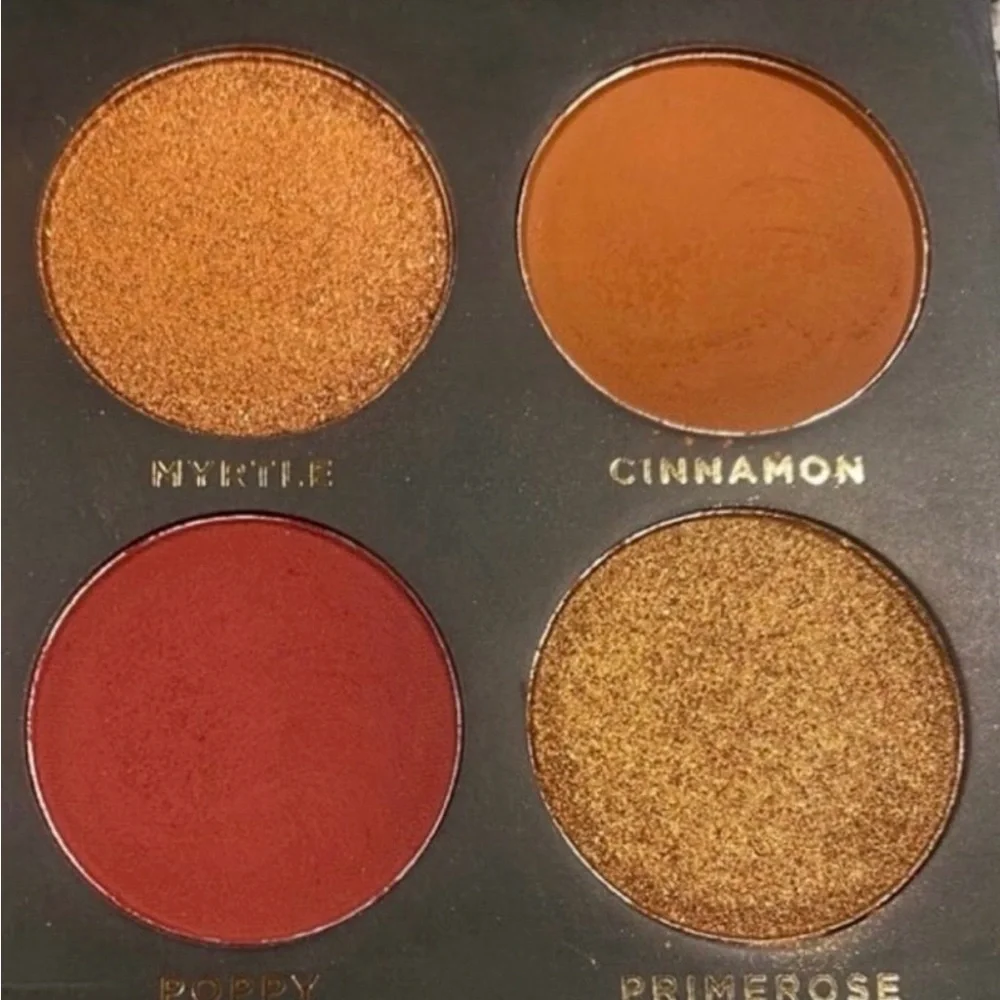 Ace Beaute Grandiose Palette BNIB - Picture 4 of 6